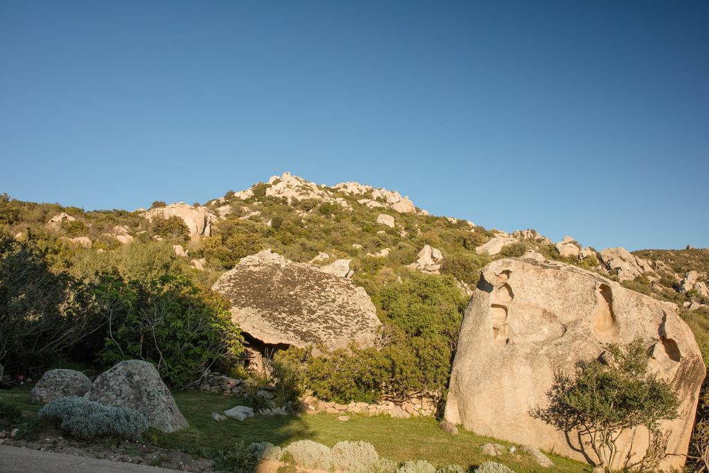 Séjour à la ferme Agriturismo Cabu Abbas Olbia